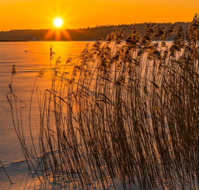 Jezioro Nidzkie Jezioro Nidzkie