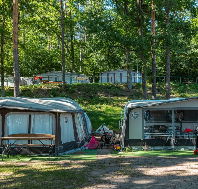 Camp Pod Dębem
